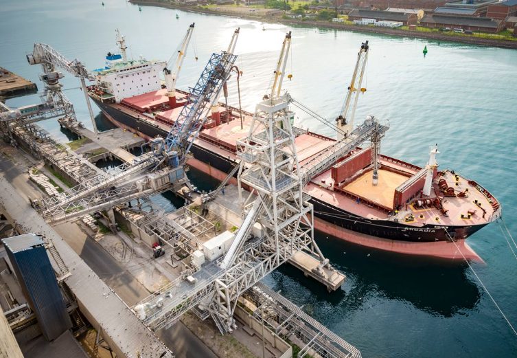 Supramax bulk carrier loading at a grain terminal